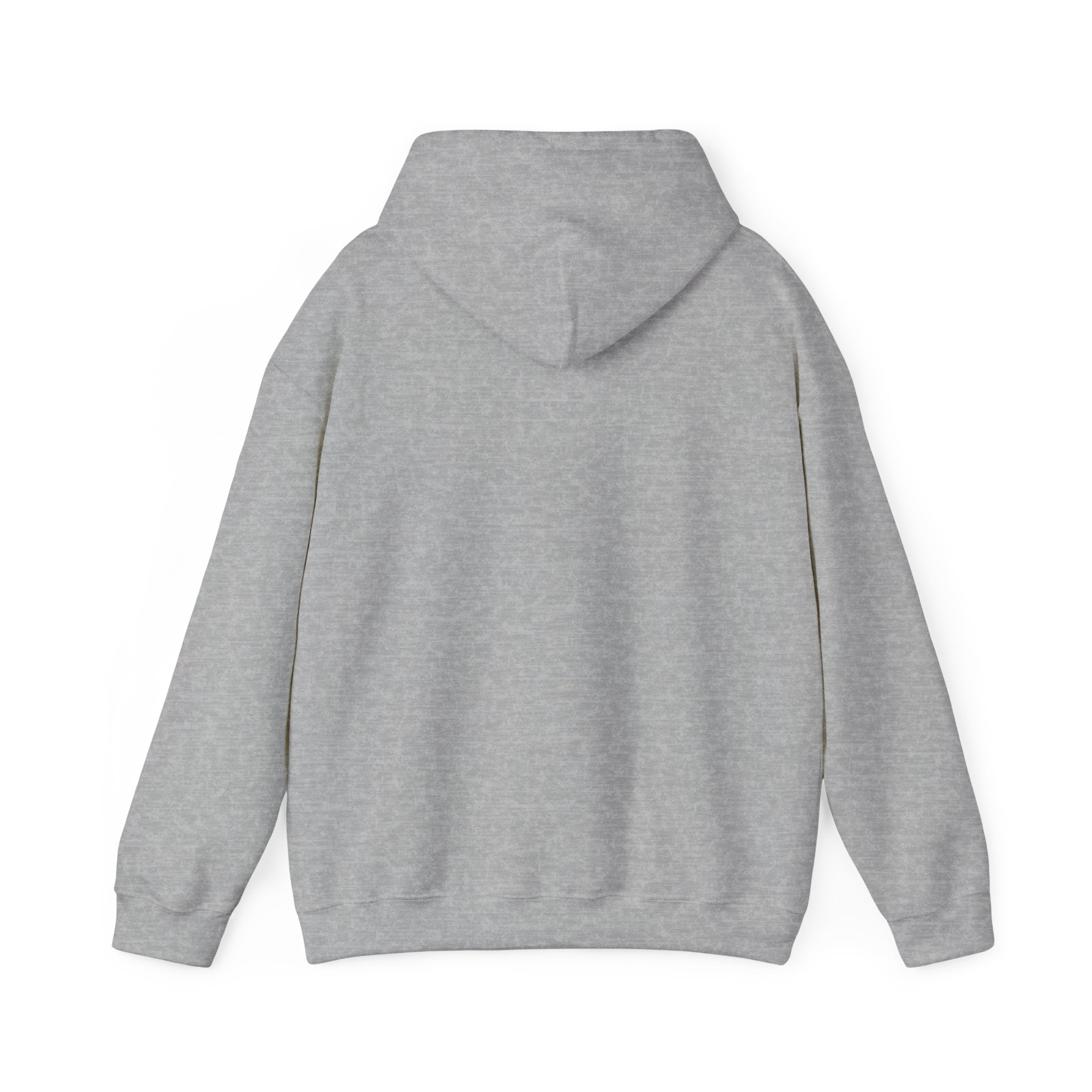 Aries zodiac Hoodie