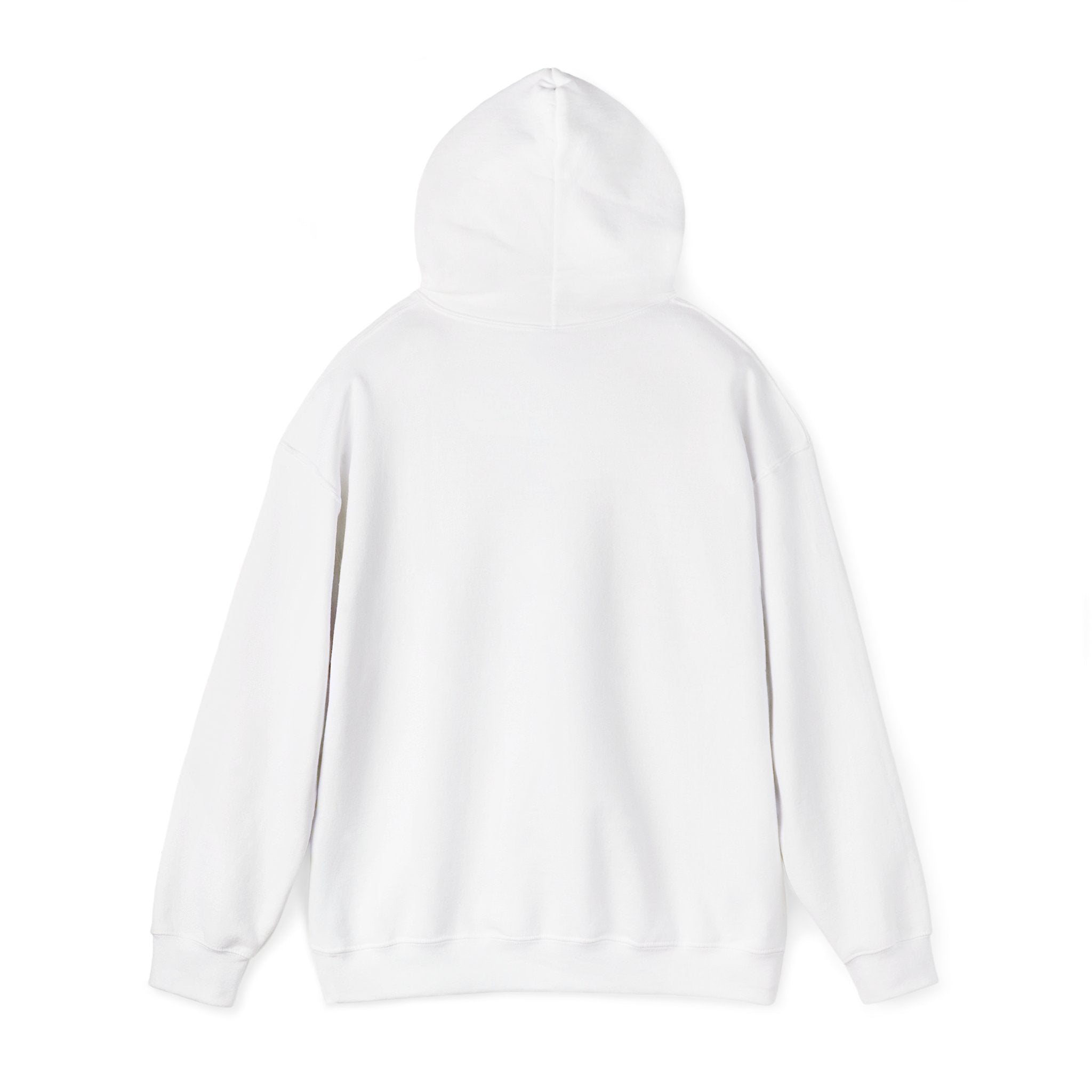 Aquarius zodiac Hoodie