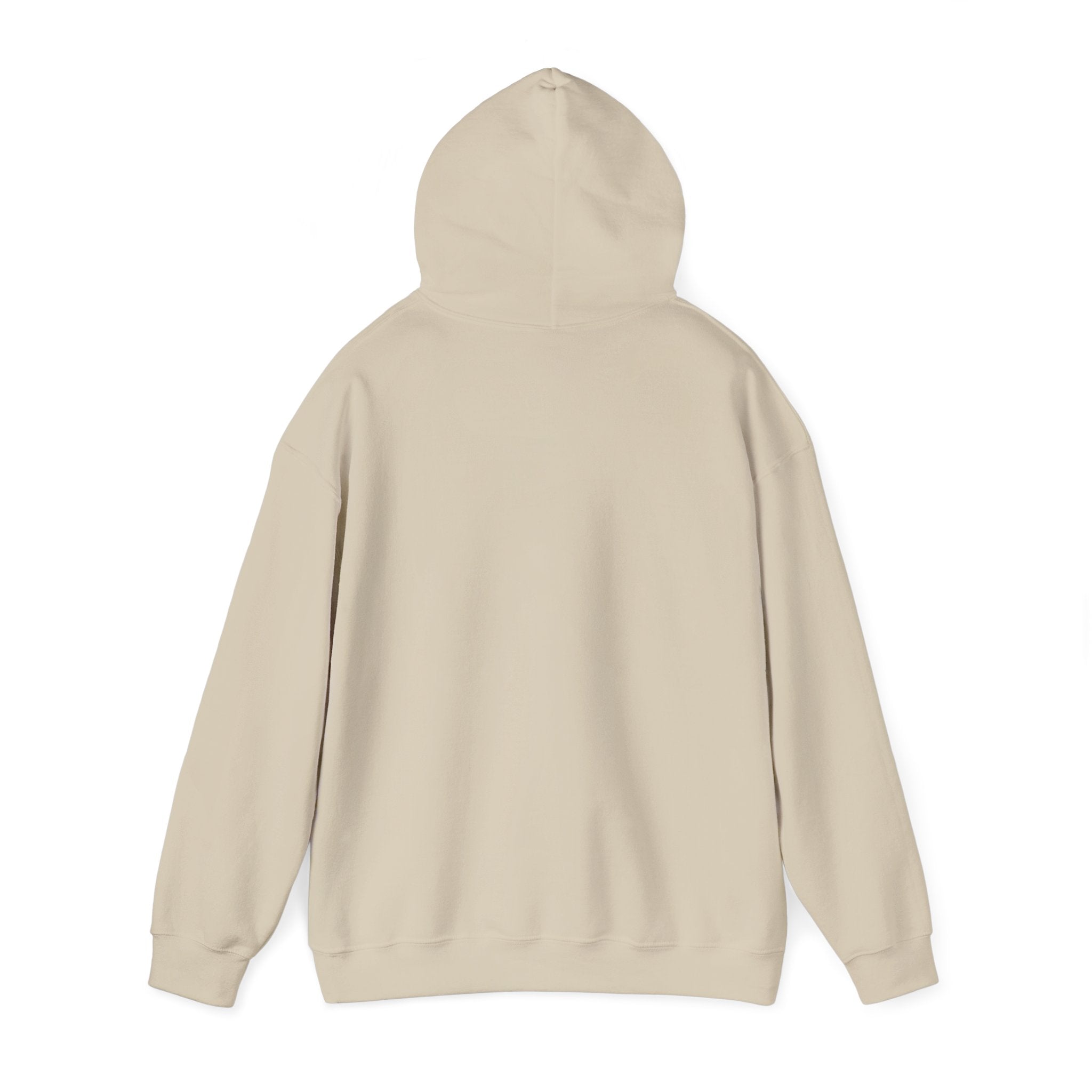 Aries zodiac Hoodie