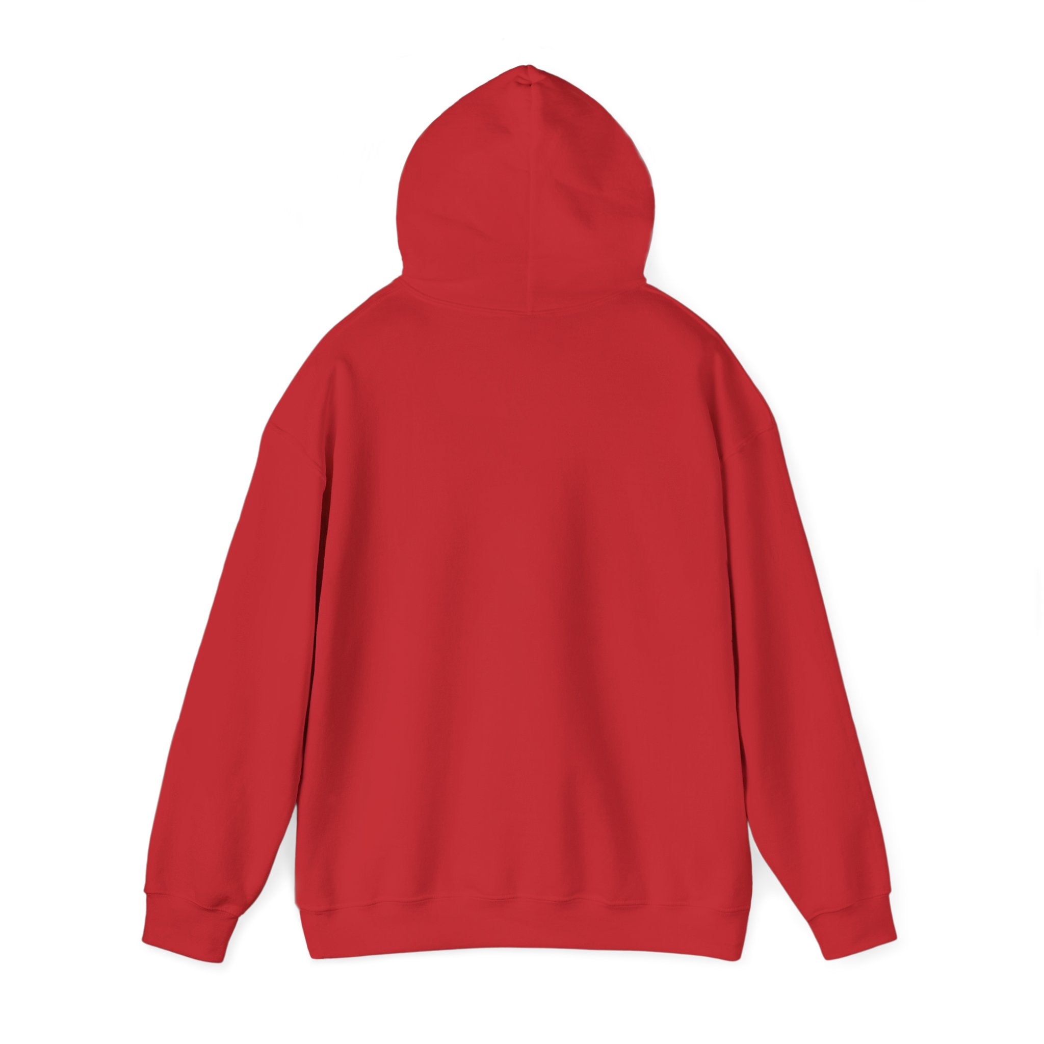 Aries zodiac Hoodie