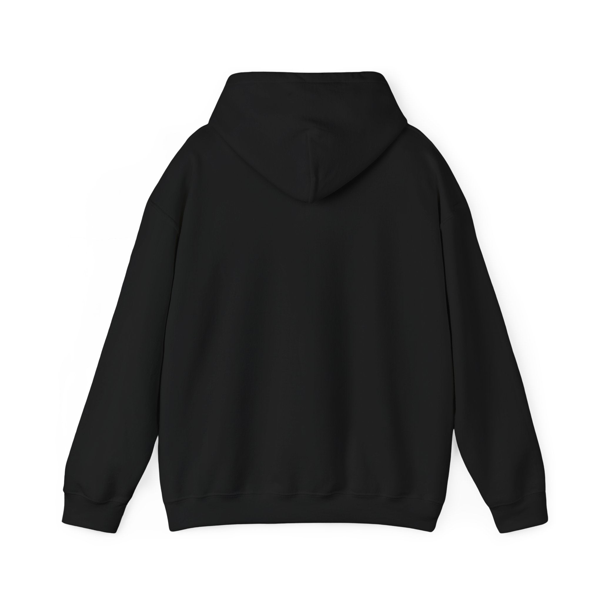 Aquarius zodiac Hoodie