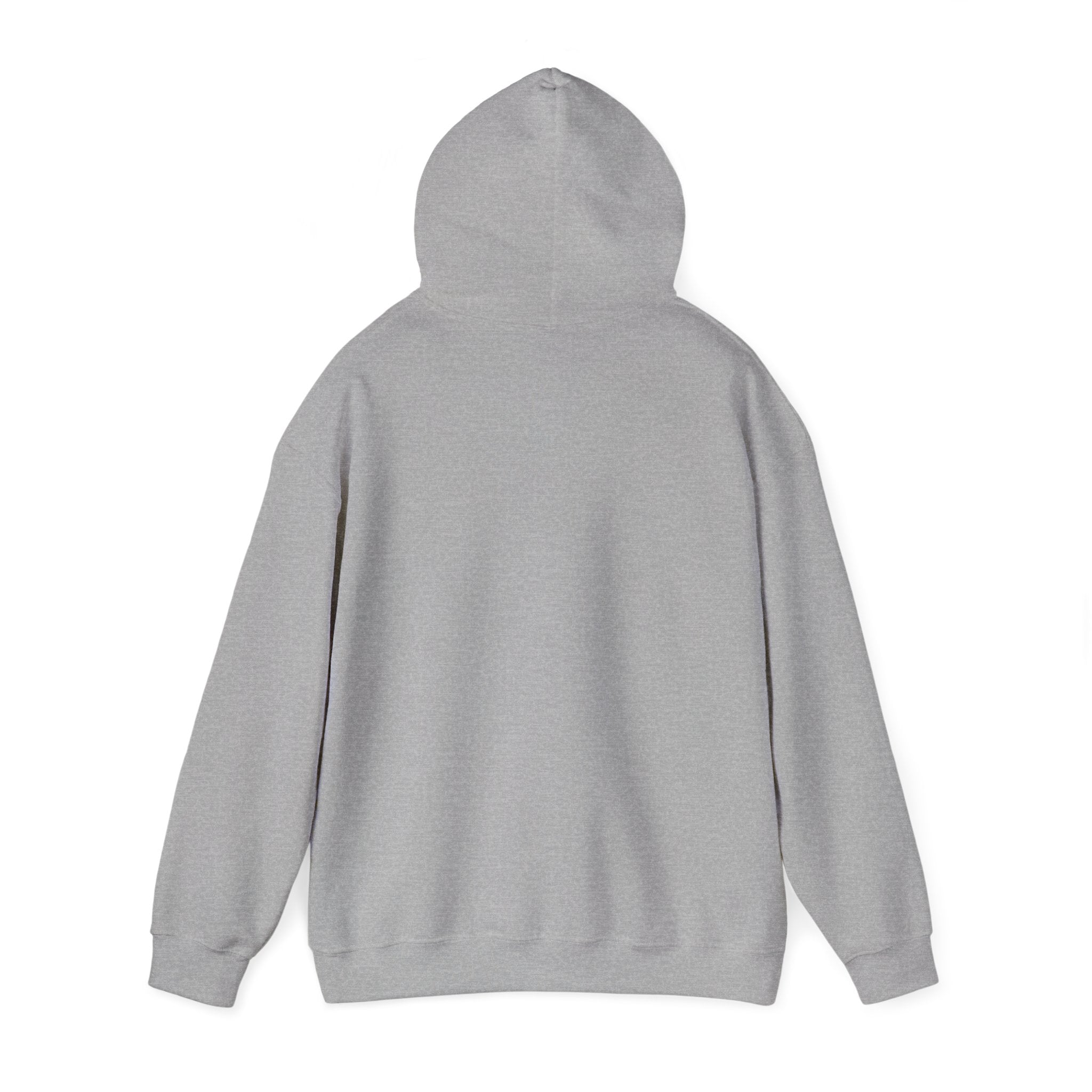 Aries zodiac Hoodie