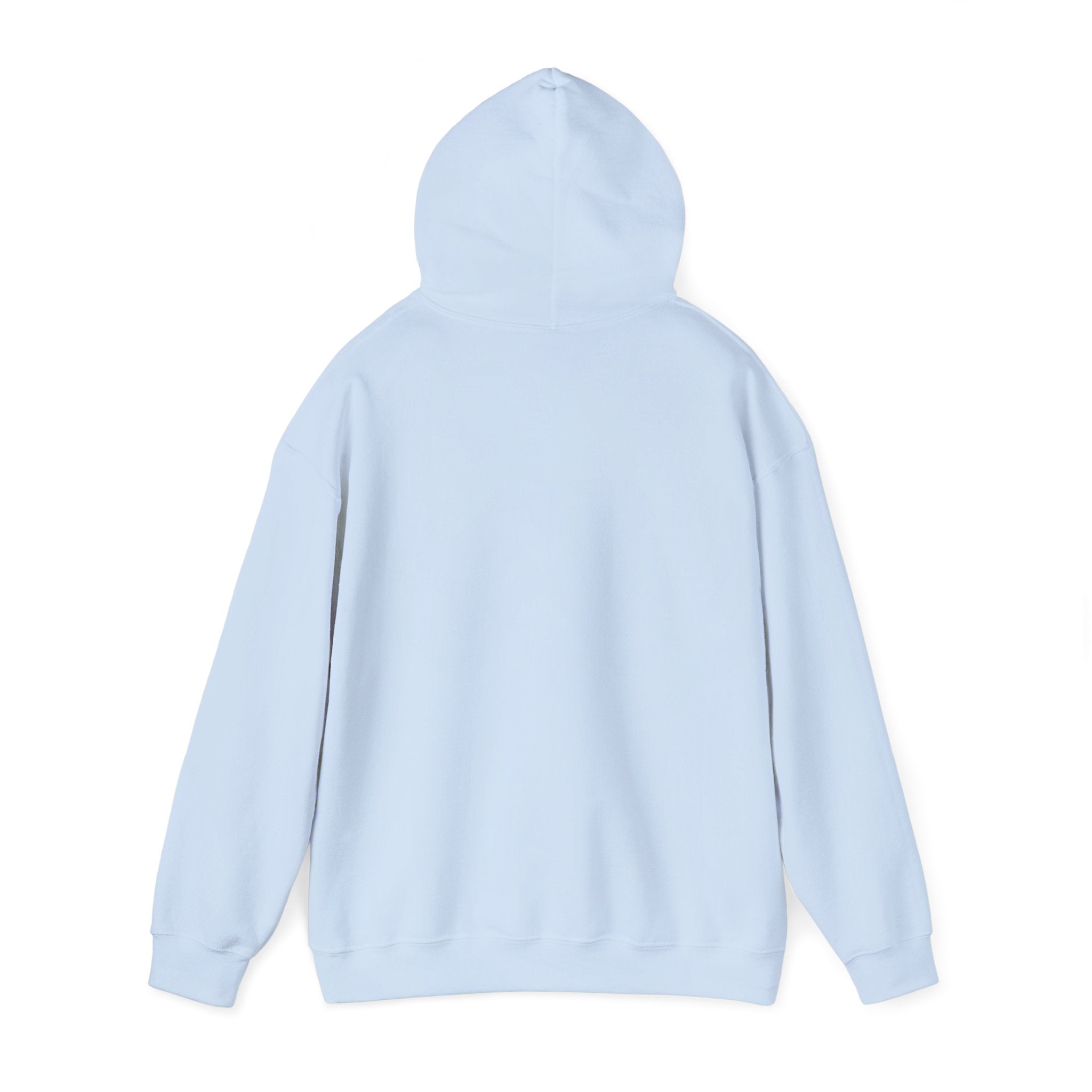 Aries zodiac Hoodie